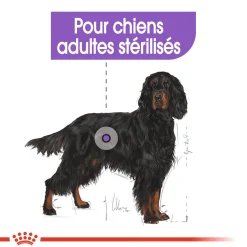 Royal Canin Maxi Sterelised 3 kg