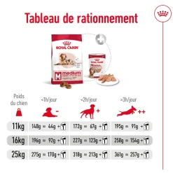 Royal Canin Medium Ageing 10+ 15 kg