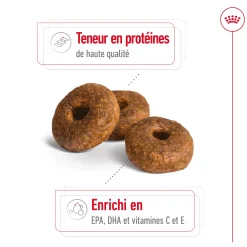 Royal Canin Medium Ageing 10+ 3 kg