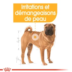 Royal Canin Medium DermaConfort