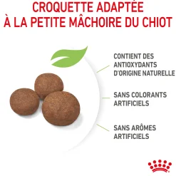Royal Canin Medium Junior 3 kg