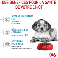 Royal Canin Medium Junior 3 kg