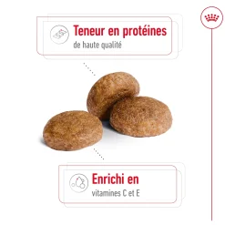 Royal Canin Medium 7+ 15 kg