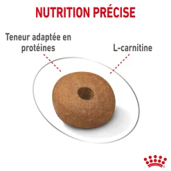 Royal Canin Medium Light 3 kg