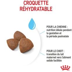 Royal Canin Medium Starter M&B 4 kg