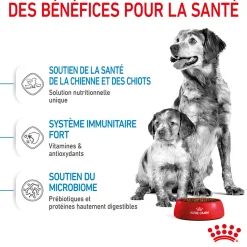Royal Canin Medium Starter M&B 4 kg