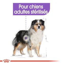 Royal Canin Medium Sterelised 3 kg