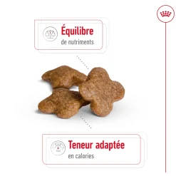 Royal Canin Mini Adult +8