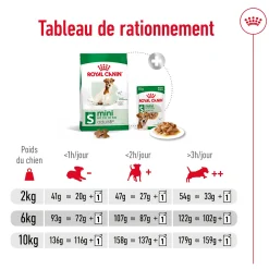 Royal Canin Mini Adult +8