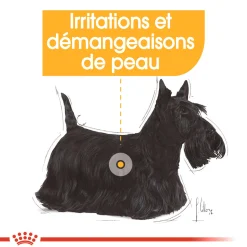 Royal Canin Mini DermaConfort