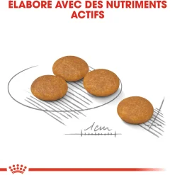 Royal Canin Mini DermaConfort