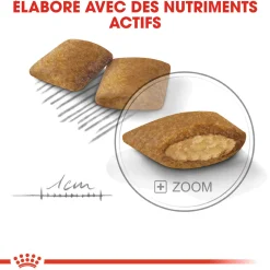 Royal Canin Mini Exigent