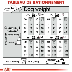 Royal Canin Mini Exigent