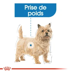 Royal Canin Mini Light Weight Care 8 kg