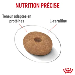 Royal Canin Mini Light Weight Care 3 kg