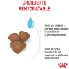 Royal Canin Mini Starter M&B 4 kg