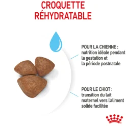 Royal Canin Mini Starter M&B 4 kg