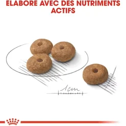 Royal Canin Mini Sterelized 3 kg