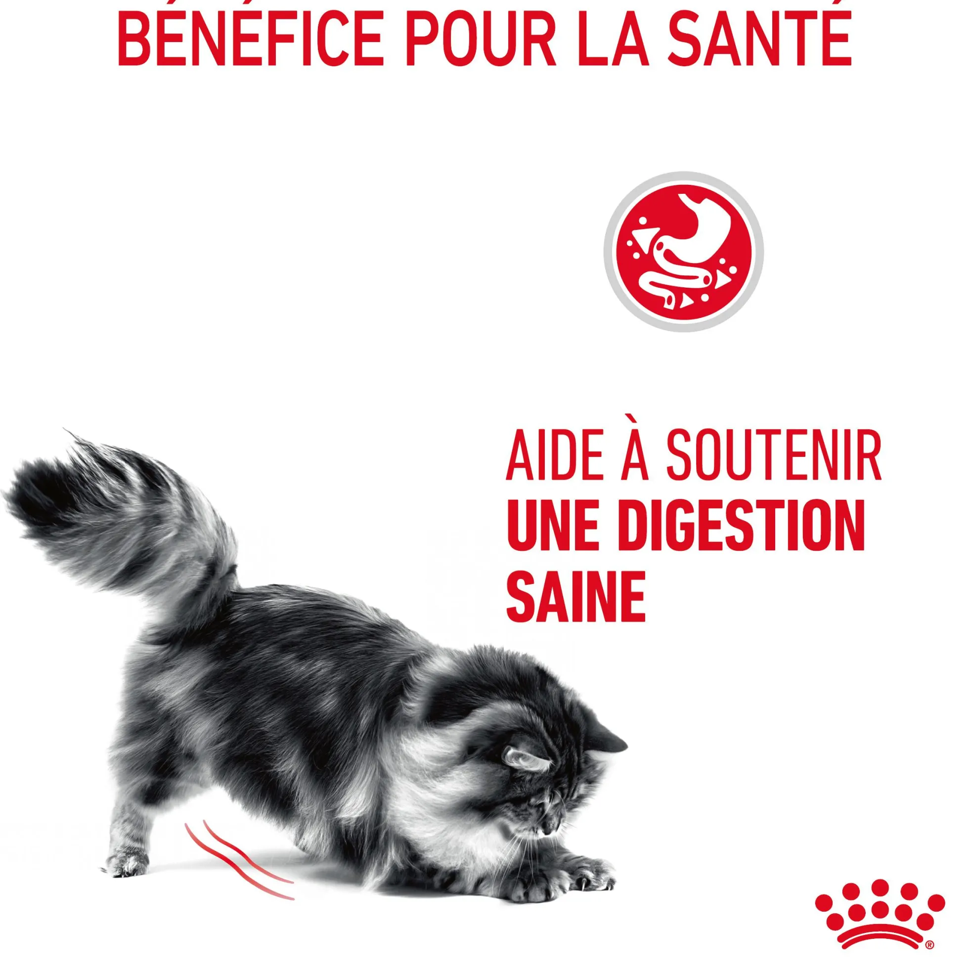 Royal canin sachet fraicheur digest sensitive sauce - 12 sachets de 85 gr