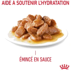 Royal canin sachet fraicheur digest sensitive sauce - 12 sachets de 85 gr
