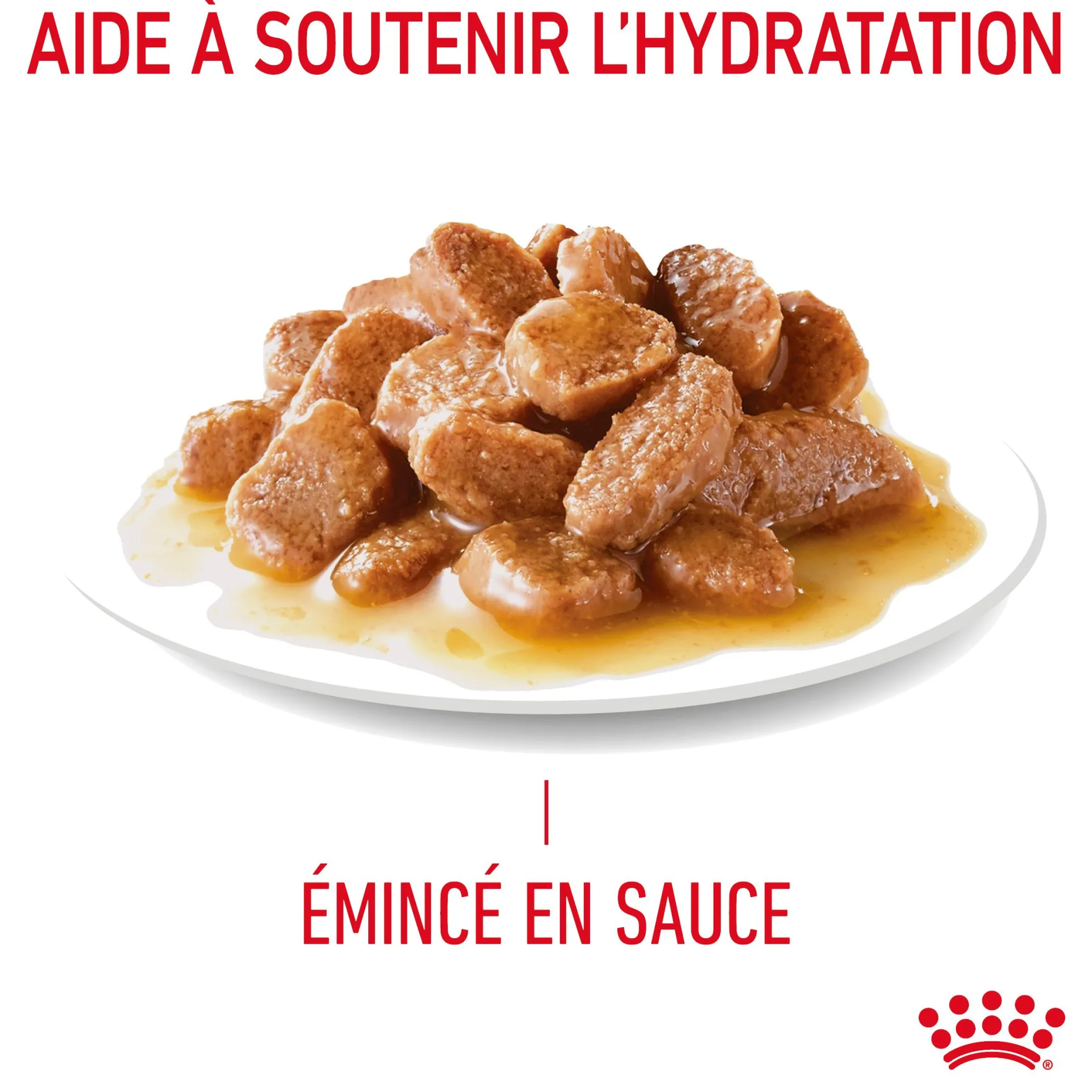 Royal canin sachet fraicheur digest sensitive sauce - 12 sachets de 85 gr