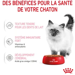 Royal canin sachet fraicheur Kitten Sauce - 12 sachets de 85 gr