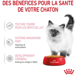 Royal canin sachet fraicheur Kitten en gelée - 12 sachets de 85 gr