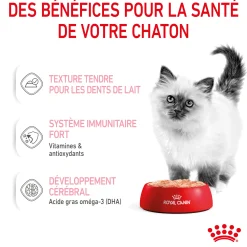 Royal canin sachet fraicheur Kitten mousse - 12 sachets de 85 gr