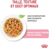 Royal canin sachet fraicheur Kitten sterilised gelee - 12 sachets de 85 gr