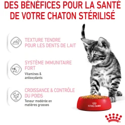 Royal canin sachet fraicheur Kitten sterilised gelee - 12 sachets de 85 gr