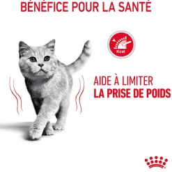Royal canin sachet fraicheur Ultra Light sauce- 12 sachets de 85 gr