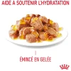 Royal canin sachet fraicheur Ultra Light gelée- 12 sachets de 85 gr