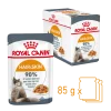 Royal canin sachet fraicheur Intense Beauty gelée - 12 sachets de 85 gr