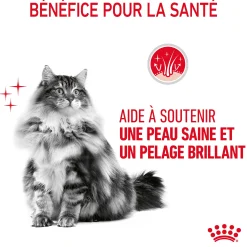 Royal canin sachet fraicheur Intense Beauty gelée - 12 sachets de 85 gr