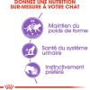 Royal canin sachet fraicheur stérelised sauce - 12 sachets de 85 gr