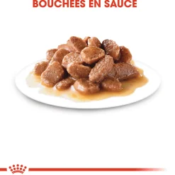 Royal canin sachet fraicheur stérelised sauce - 12 sachets de 85 gr