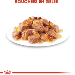 Royal canin sachet fraicheur stérelised gelée - 12 sachets de 85 gr