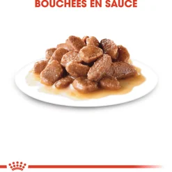 Royal canin sachet fraicheur ageing +11 sauce - 12 sachets de 85 gr