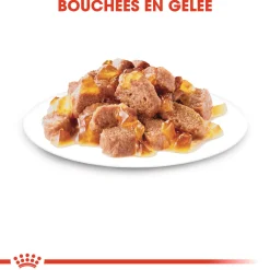 Royal canin sachet fraicheur ageing +12 gelée - 12 sachets de 85 gr