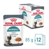 Royal canin sachet fraicheur hairball sauce - 12 sachets de 85 gr