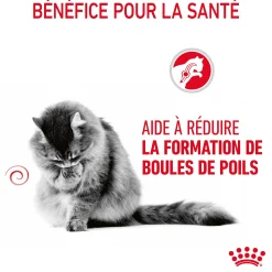 Royal canin sachet fraicheur hairball sauce - 12 sachets de 85 gr