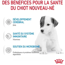 Royal Canin 1st age milk 400 g