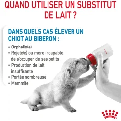 Royal Canin 1st age milk 400 g