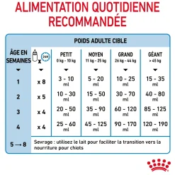 Royal Canin 1st age milk 2 kg
