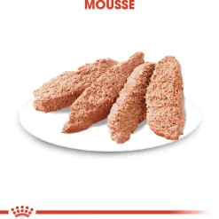 Royal Canin Wet Chien Coat Care Mousse - 12 x 85 g