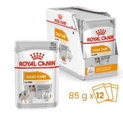 Royal Canin Wet Chien Coat Care Mousse - 12 x 85 g