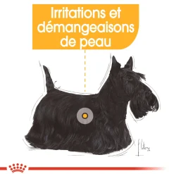Royal Canin Wet Chien Dermaconfort Mousse - 12 x 85 g