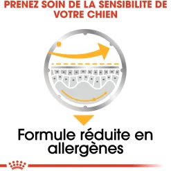 Royal Canin Wet Chien Dermaconfort Mousse - 12 x 85 g