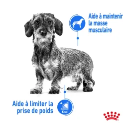 Royal Canin Wet Chien Light Weight Care Mousse - 12 x 85 g
