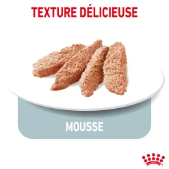 Royal Canin Wet Chien Light Weight Care Mousse - 12 x 85 g